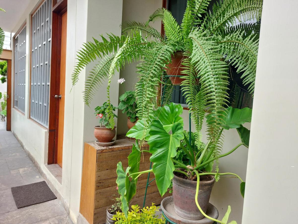 Casa Amarello Διαμέρισμα Λίμα Εξωτερικό φωτογραφία