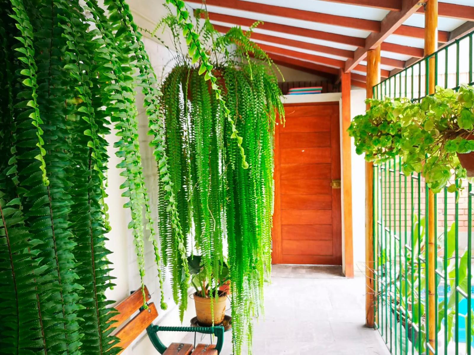 Casa Amarello Διαμέρισμα Λίμα Εξωτερικό φωτογραφία
